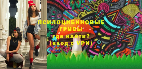 первитин Новодвинск