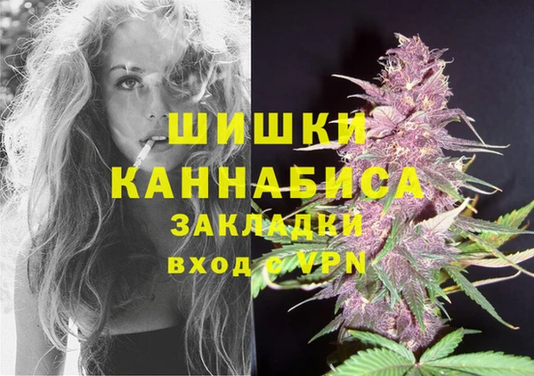 первитин Новодвинск