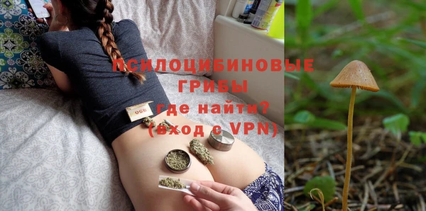 не бодяженный Новозыбков