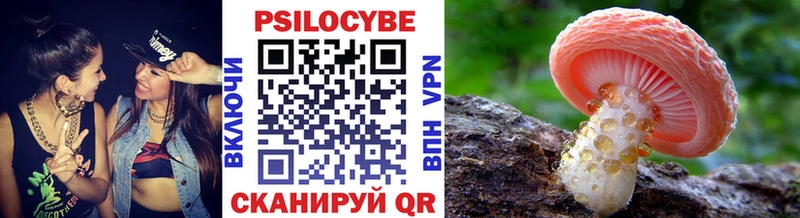 Псилоцибиновые грибы прущие грибы  Кашира 