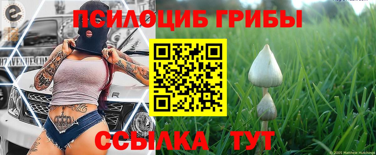 Галлюциногенные грибы Psilocybine cubensis  Галлюциногенные грибы Psilocybe  цена   Кашира  Вход с VPN 