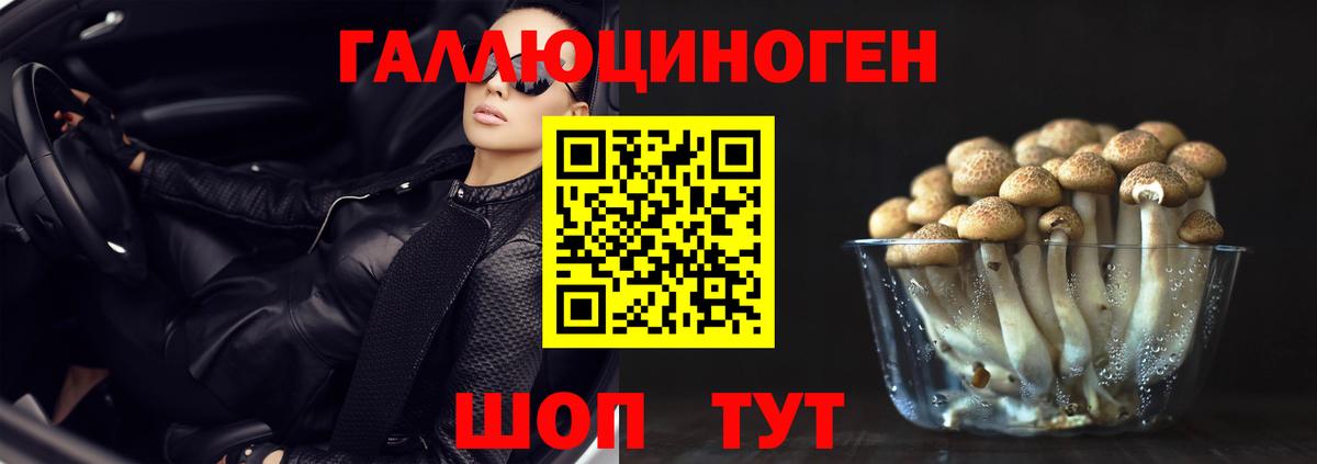 Галлюциногенные грибы мицелий Кашира
